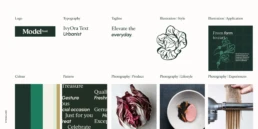 20250305 Model Food Ci Rev 221 1