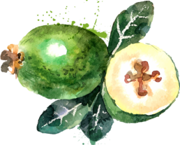 Watercolor Fruits And Vegetables 5 [converted] 1